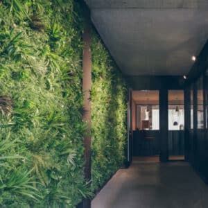Mur végétal à l'entrée de la Maison de la Danse