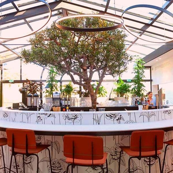 Comptoir central très végétal avec un arbre au centre